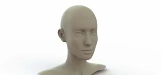 Frezen buste