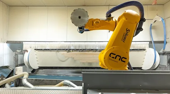 solid frezen robot